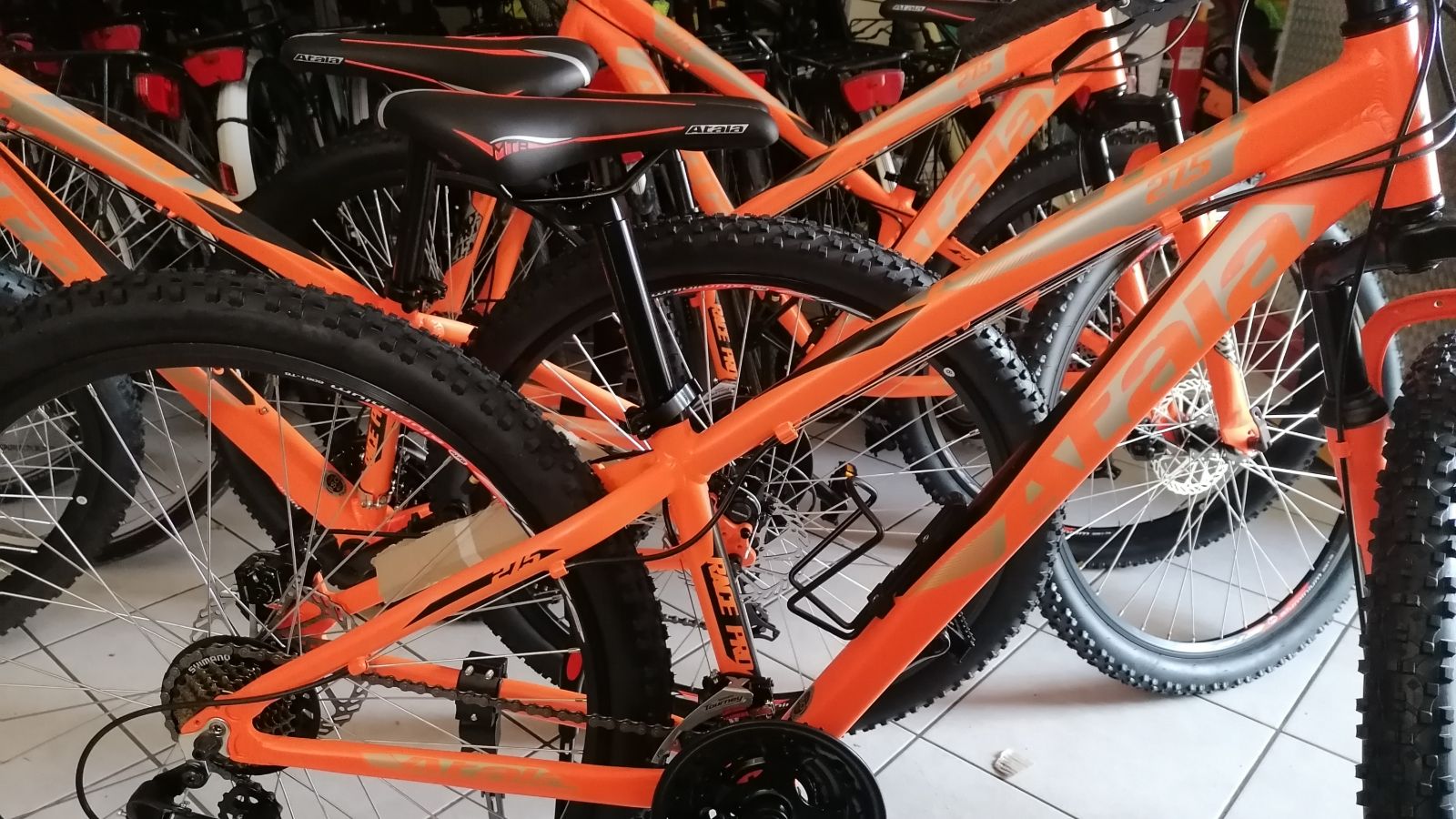 Fotogallery immagine 7