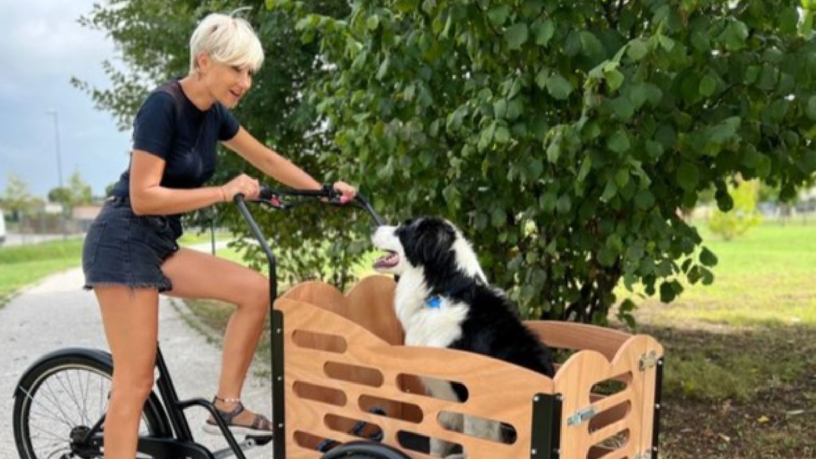 Fotogallery immagine 8