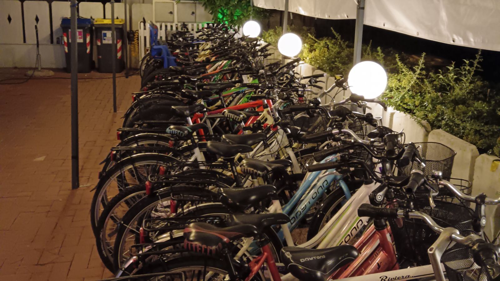 Fotogallery immagine 14