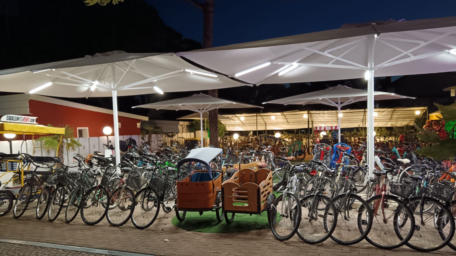 Fotogallery immagine 17