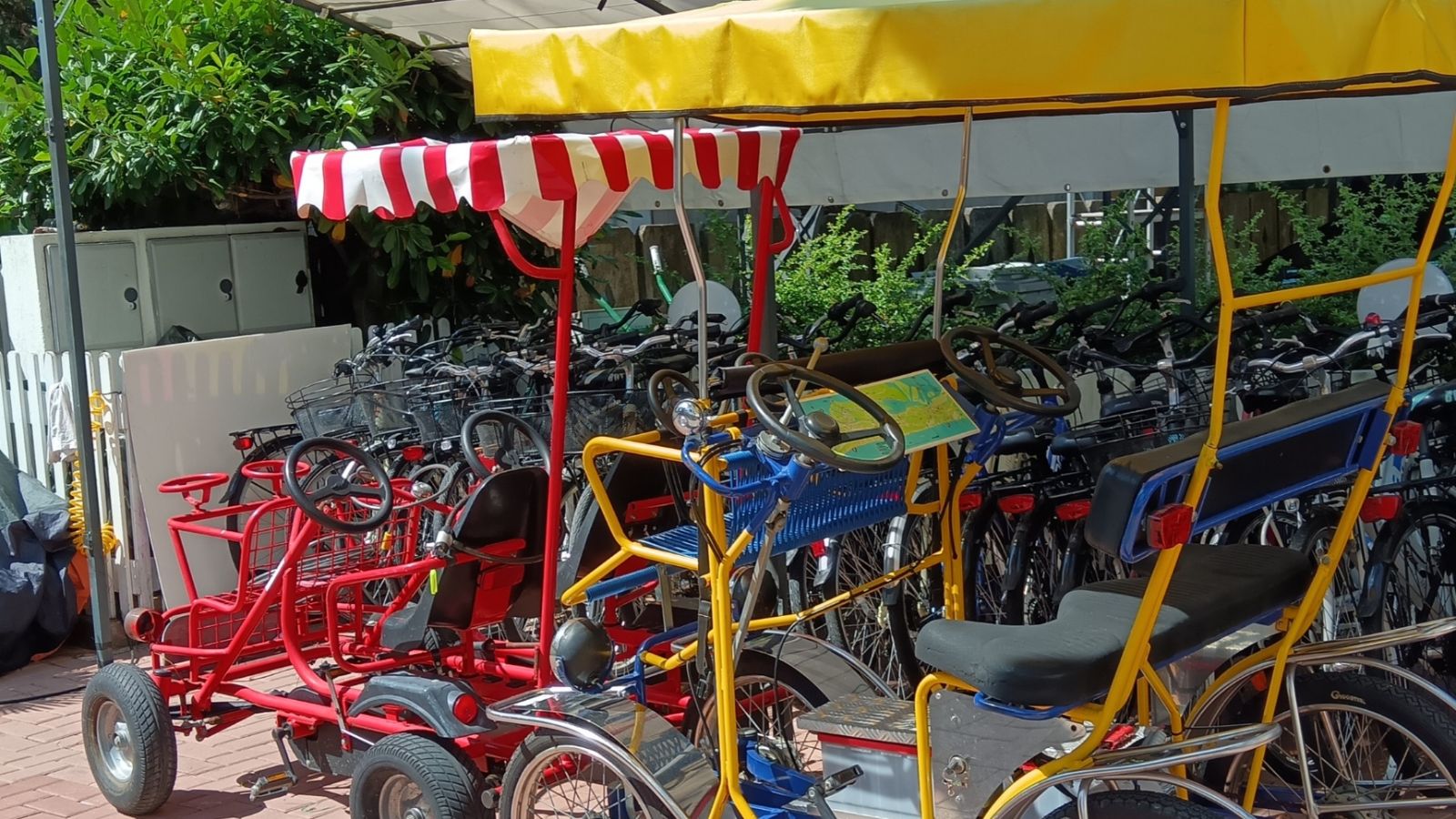 Fotogallery immagine 18