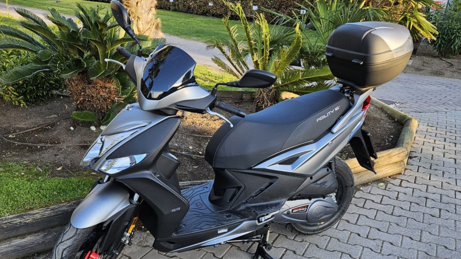 Fotogallery immagine 19